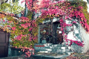 营业执照法人变更网上申请入口，营业执照法人变更在哪里申请?