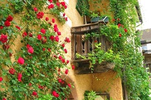 执照变更什么意思，变更执照名称流程