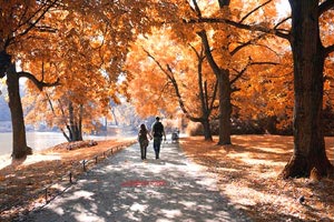 营业执照变更法人网上多久更新，营业执照法人变更需要多长时间能查出来